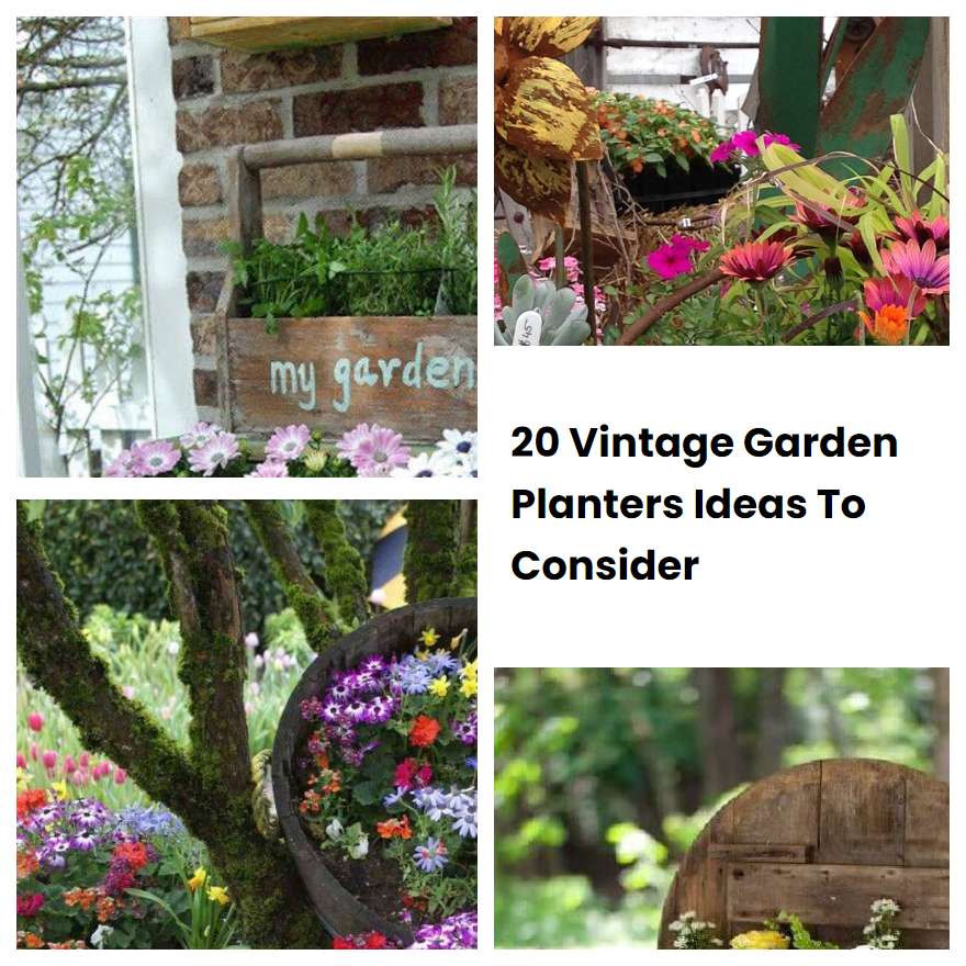 Vintage Garden Planters Ideas To Consider Sharonsable