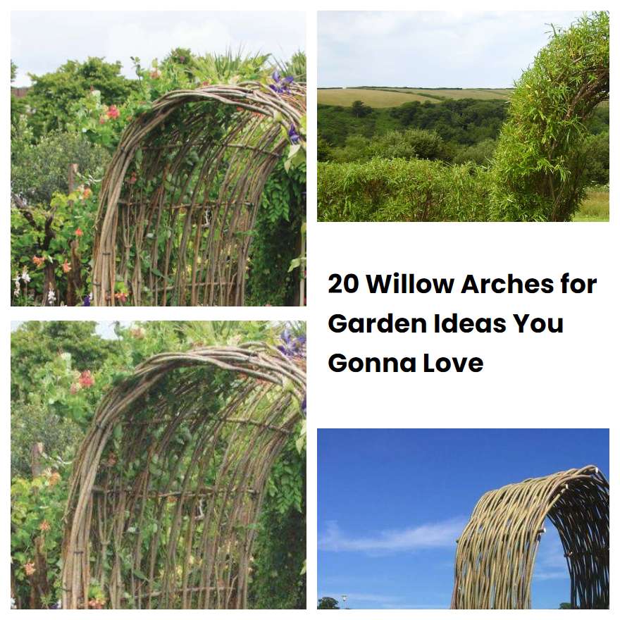 Willow Arches For Garden Ideas You Gonna Love Sharonsable