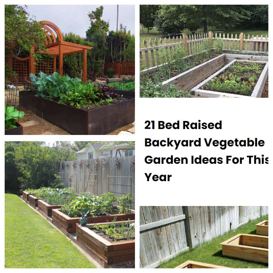 21 Bed Raised Backyard Vegetable Garden Ideas For This Year SharonSable