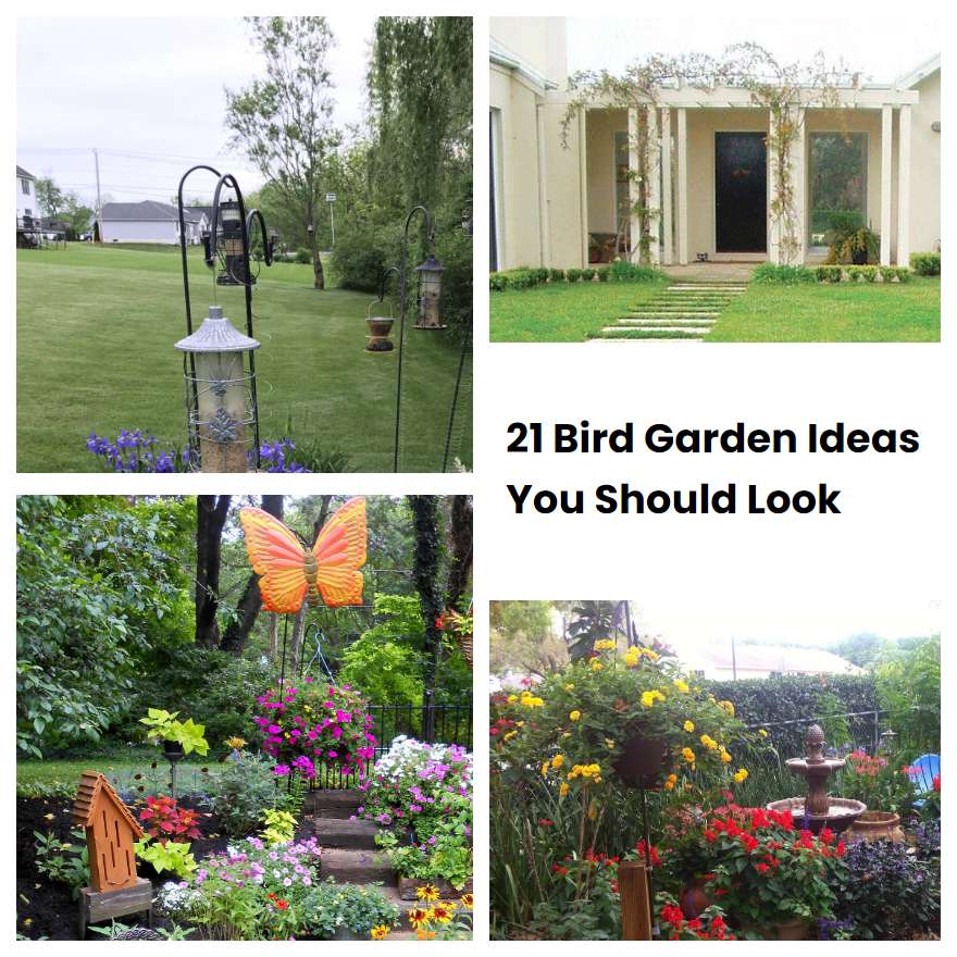 Bird Garden Ideas You Should Look Sharonsable