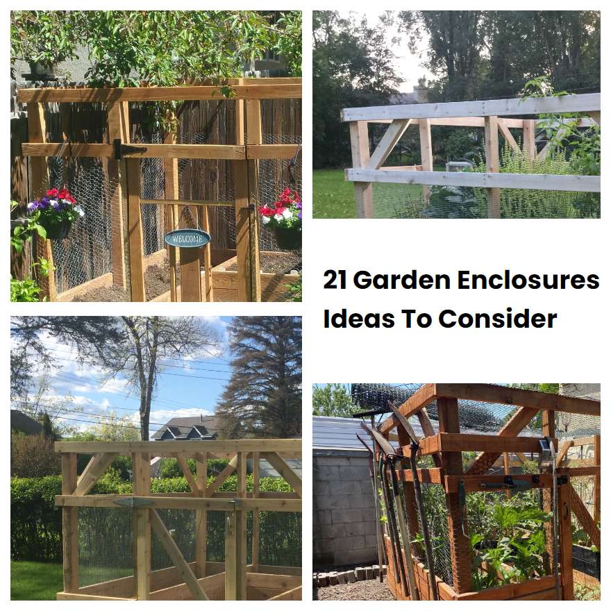 Garden Enclosures Ideas To Consider Sharonsable