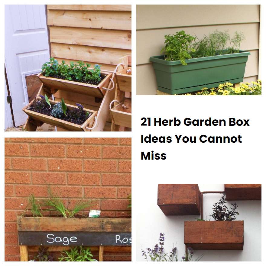 21 Herb Garden Box Ideas You Cannot Miss SharonSable