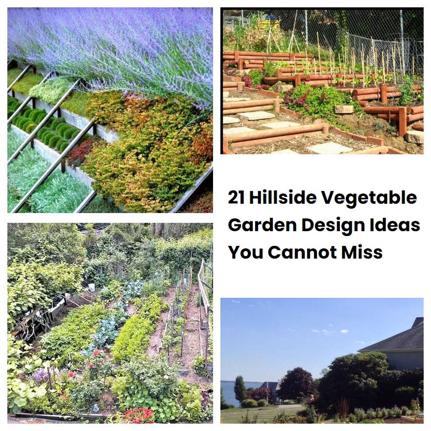 21 Hillside Vegetable Garden Design Ideas You Cannot Miss SharonSable