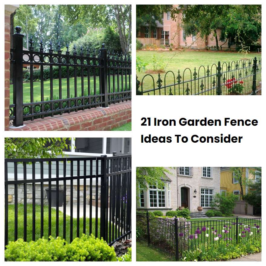 Iron Garden Fence Ideas To Consider Sharonsable