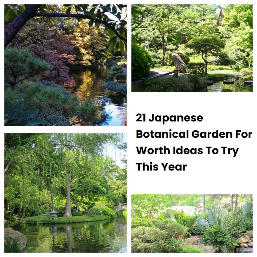 21 Japanese Botanical Garden Fort Worth Ideas To Try This Year