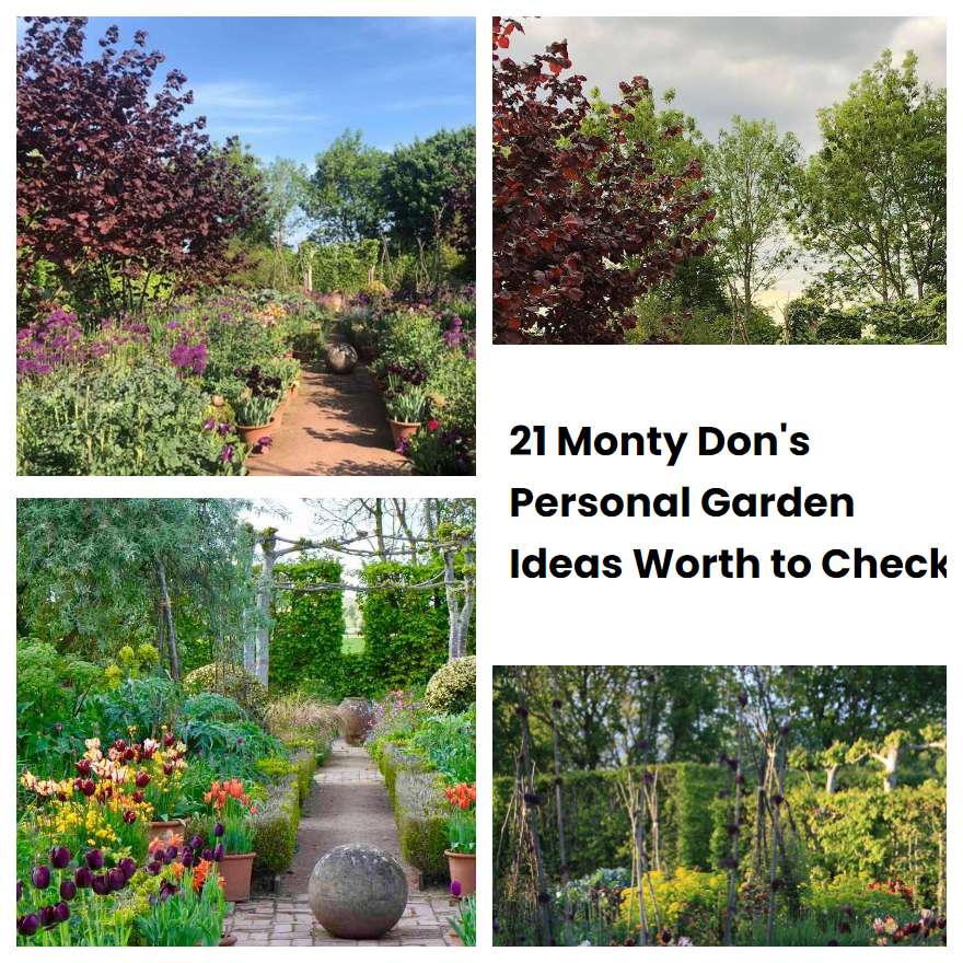 21 Monty Dons Personal Garden Ideas Worth To Check SharonSable