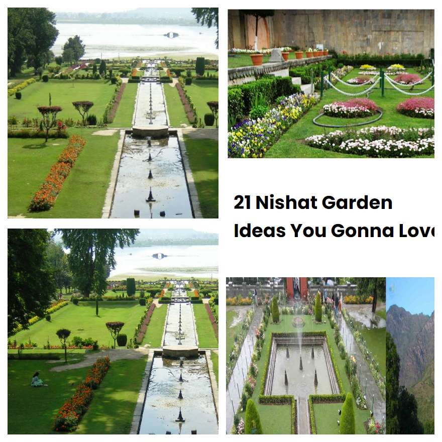 21 Nishat Garden Ideas You Gonna Love SharonSable