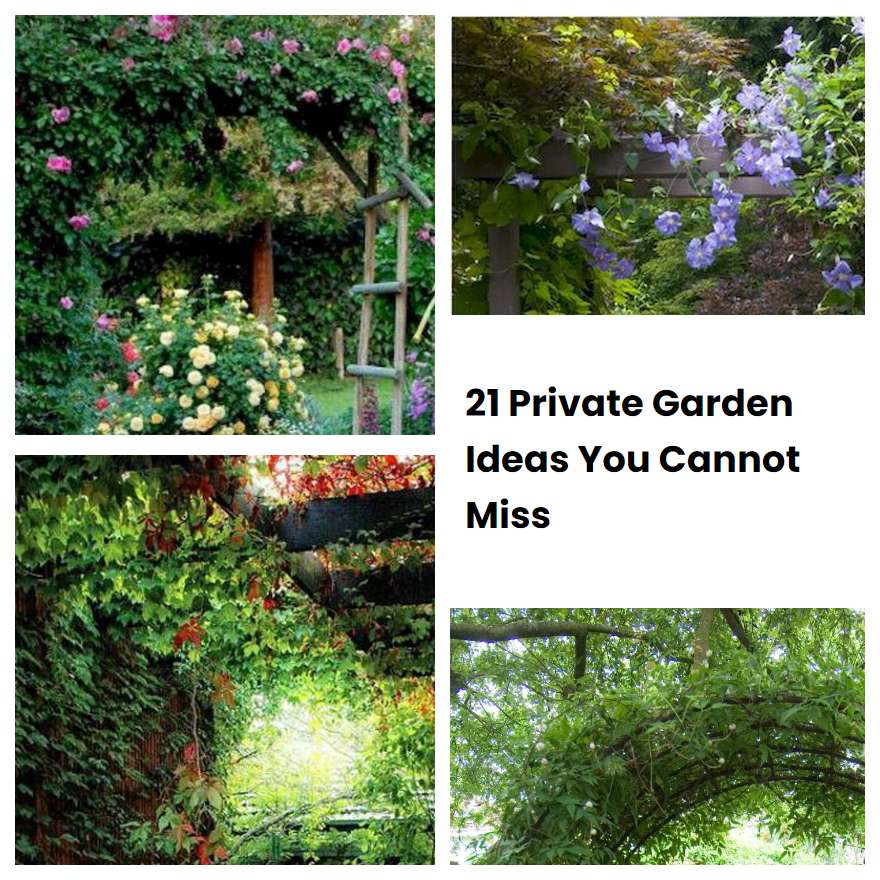 Private Garden Ideas You Cannot Miss Sharonsable