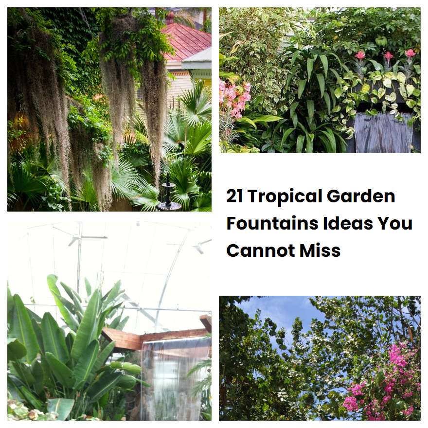 Tropical Garden Fountains Ideas You Cannot Miss Sharonsable