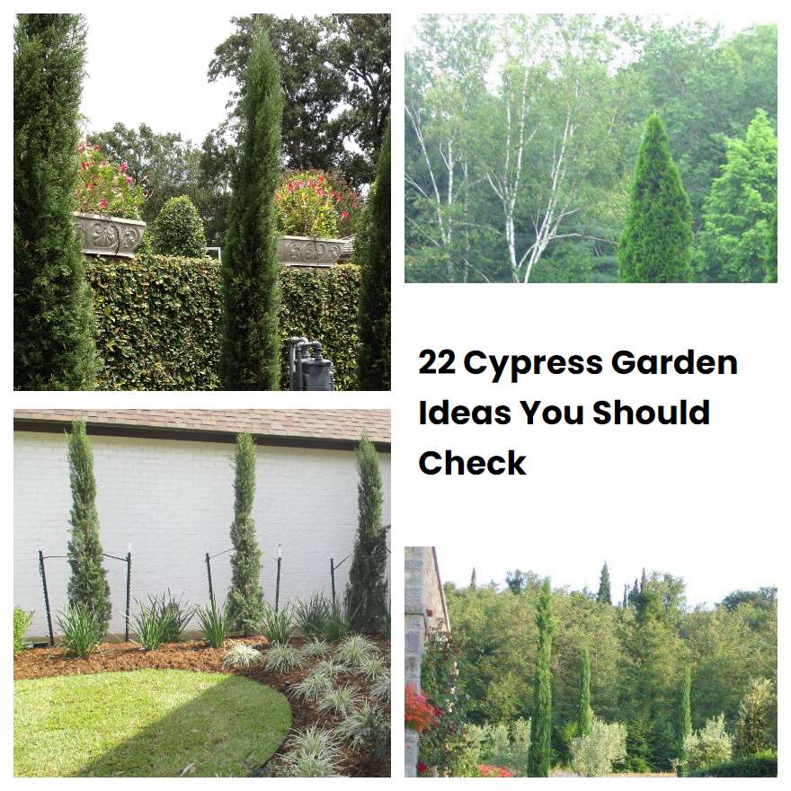 Cypress Garden Ideas You Should Check Sharonsable