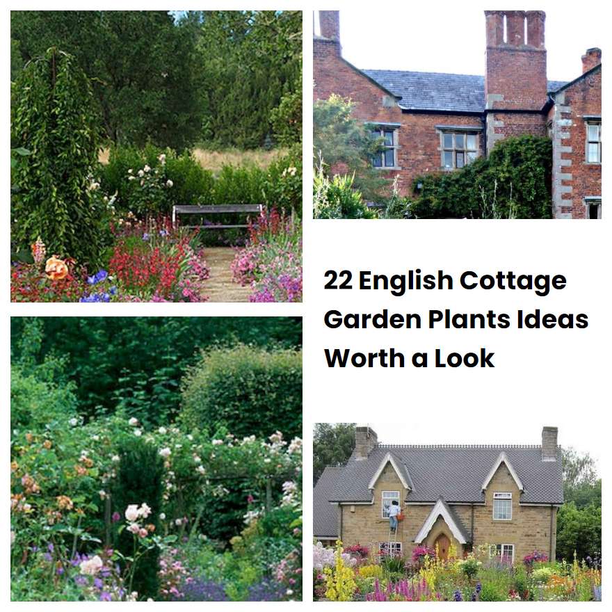 English Cottage Garden Plants Ideas Worth A Look Sharonsable