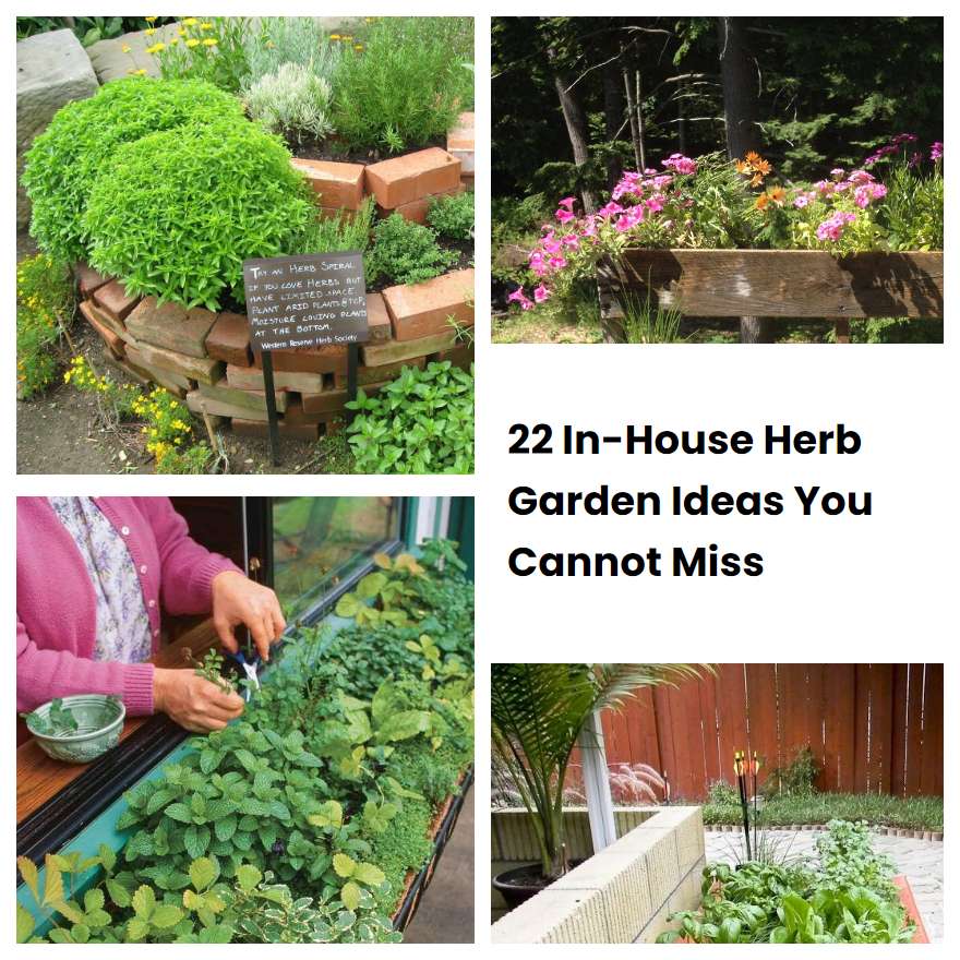 In House Herb Garden Ideas You Cannot Miss Sharonsable