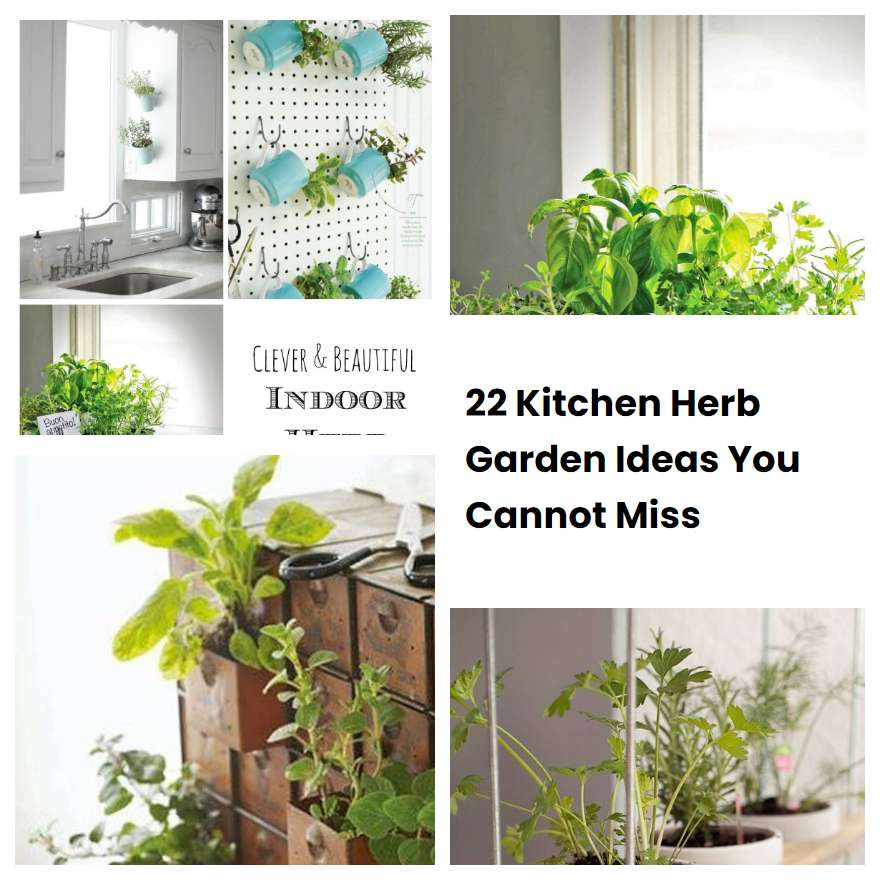 Kitchen Herb Garden Ideas You Cannot Miss Sharonsable