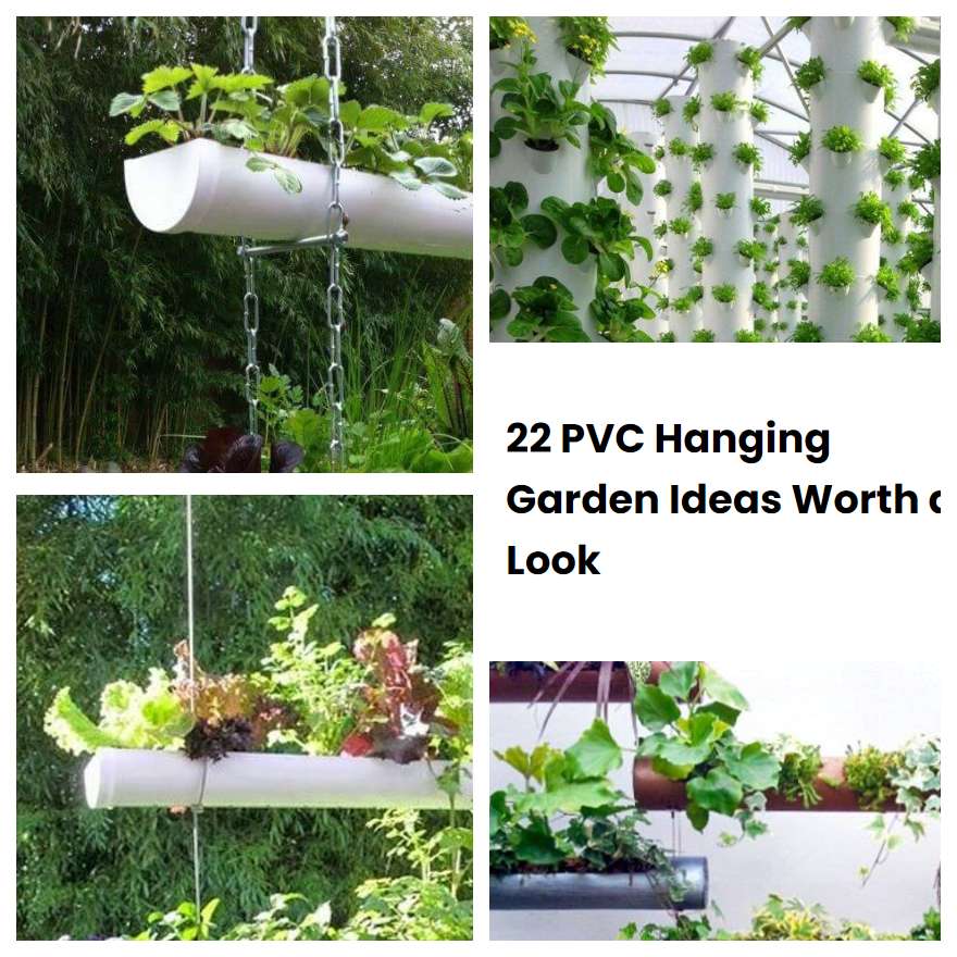 22 PVC Hanging Garden Ideas Worth A Look SharonSable