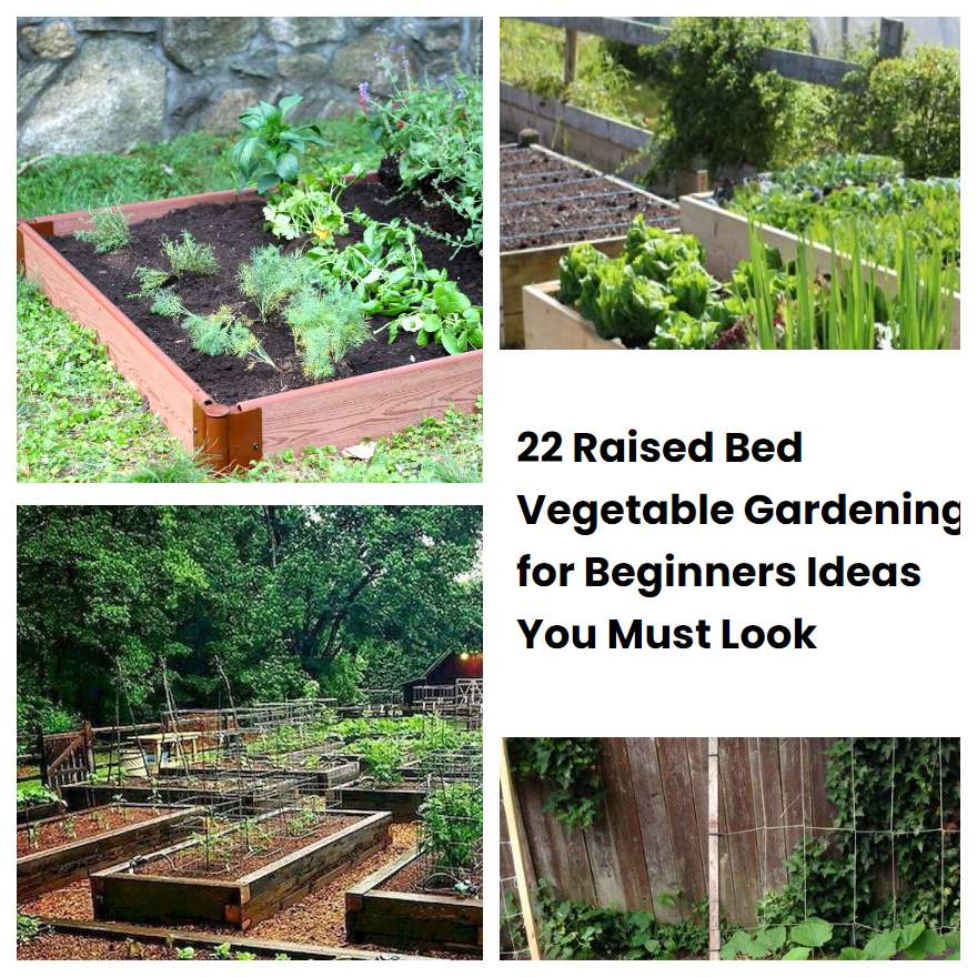 Raised Bed Vegetable Gardening For Beginners Ideas You Must Look