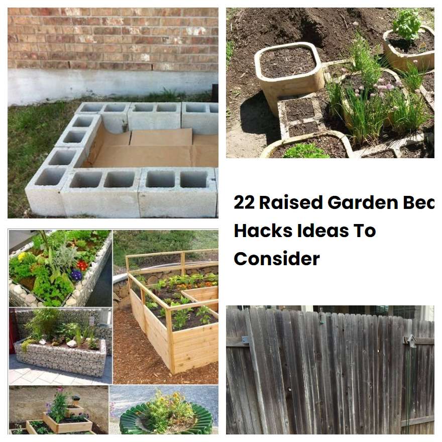 Raised Garden Bed Hacks Ideas To Consider Sharonsable