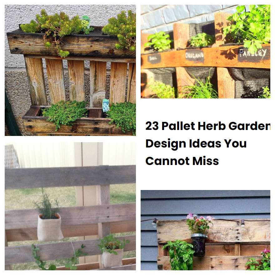 Pallet Herb Garden Design Ideas You Cannot Miss Sharonsable