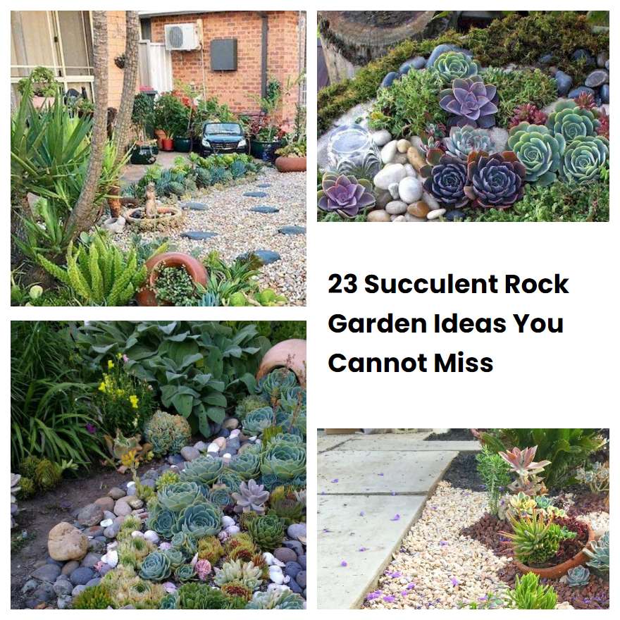 23 Succulent Rock Garden Ideas You Cannot Miss SharonSable