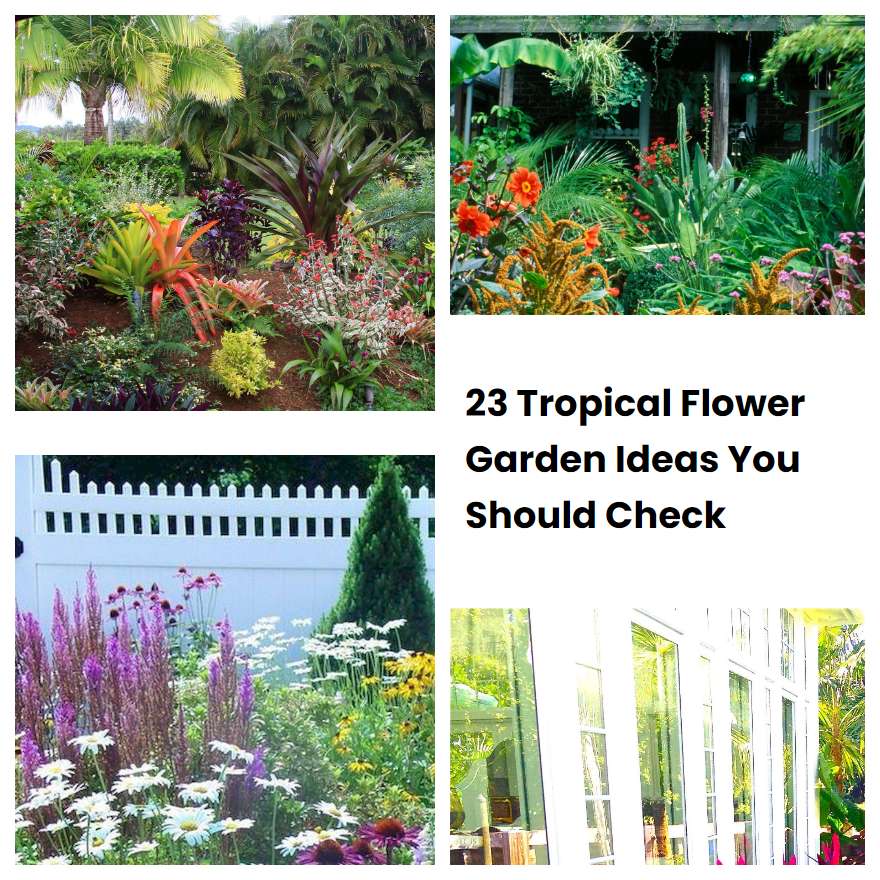 Tropical Flower Garden Ideas You Should Check Sharonsable