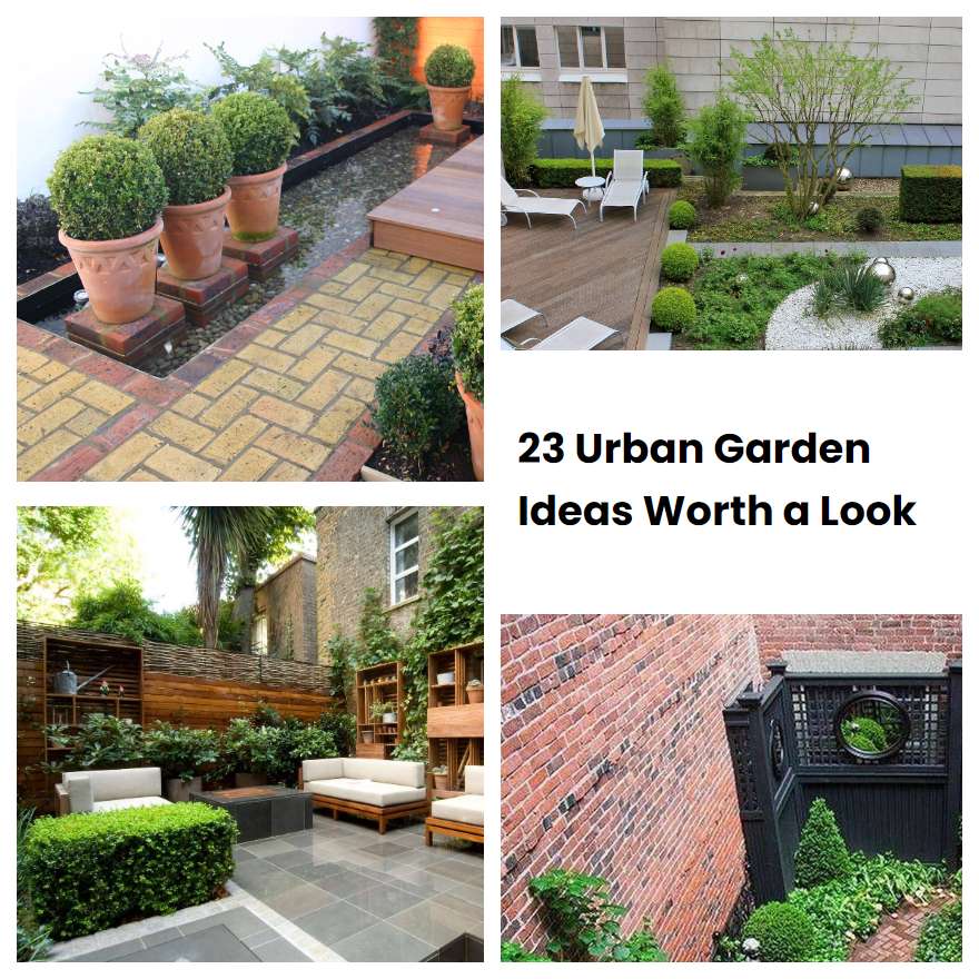 23 Urban Garden Ideas Worth A Look SharonSable