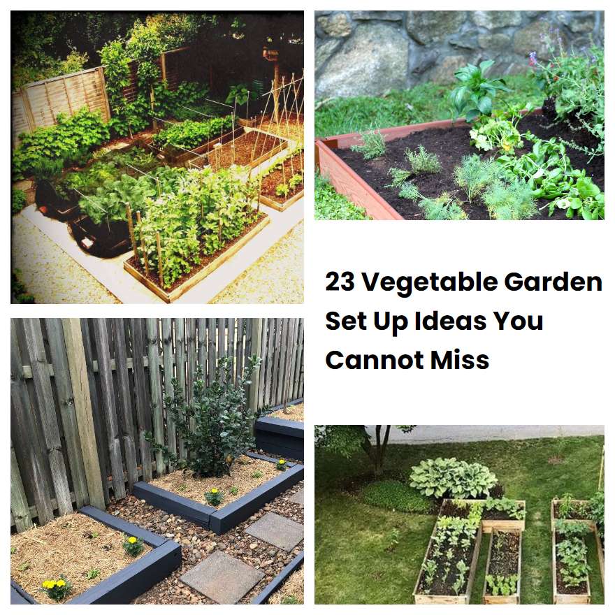 23 Vegetable Garden Set Up Ideas You Cannot Miss SharonSable