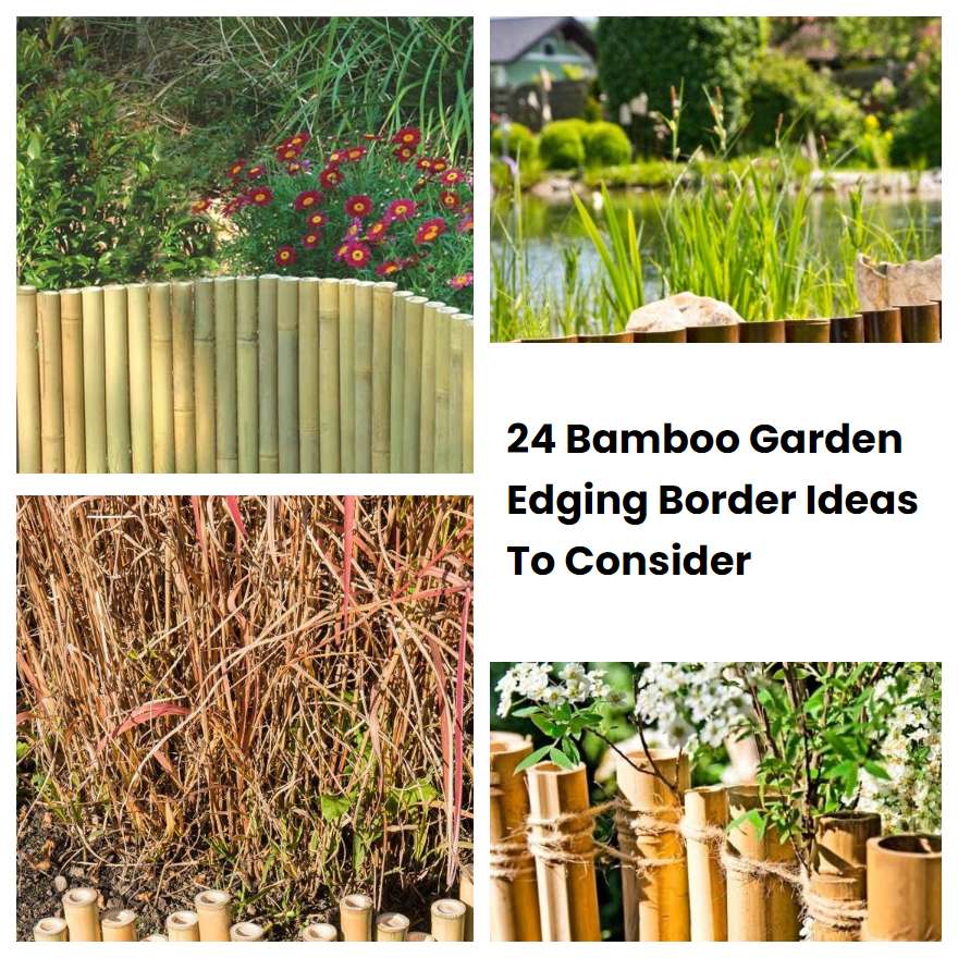 Bamboo Garden Edging Border Ideas To Consider Sharonsable