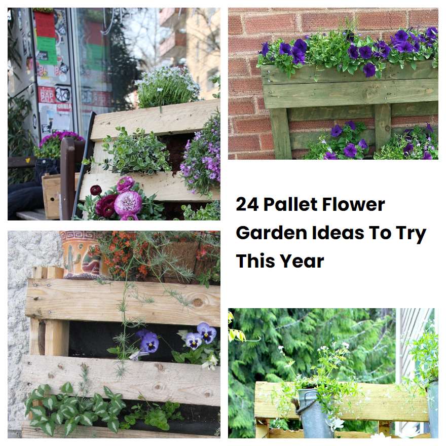 Pallet Flower Garden Ideas To Try This Year Sharonsable