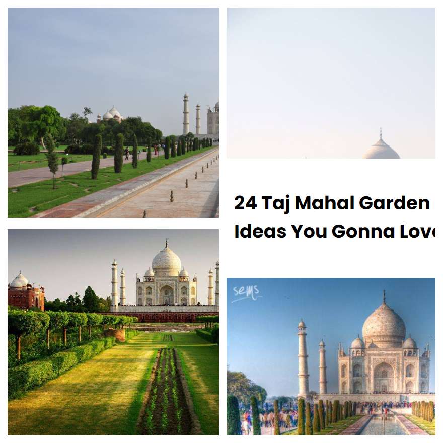 24 Taj Mahal Garden Ideas You Gonna Love SharonSable