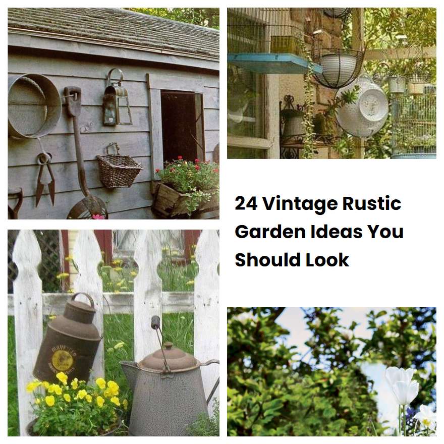 Vintage Rustic Garden Ideas You Should Look Sharonsable