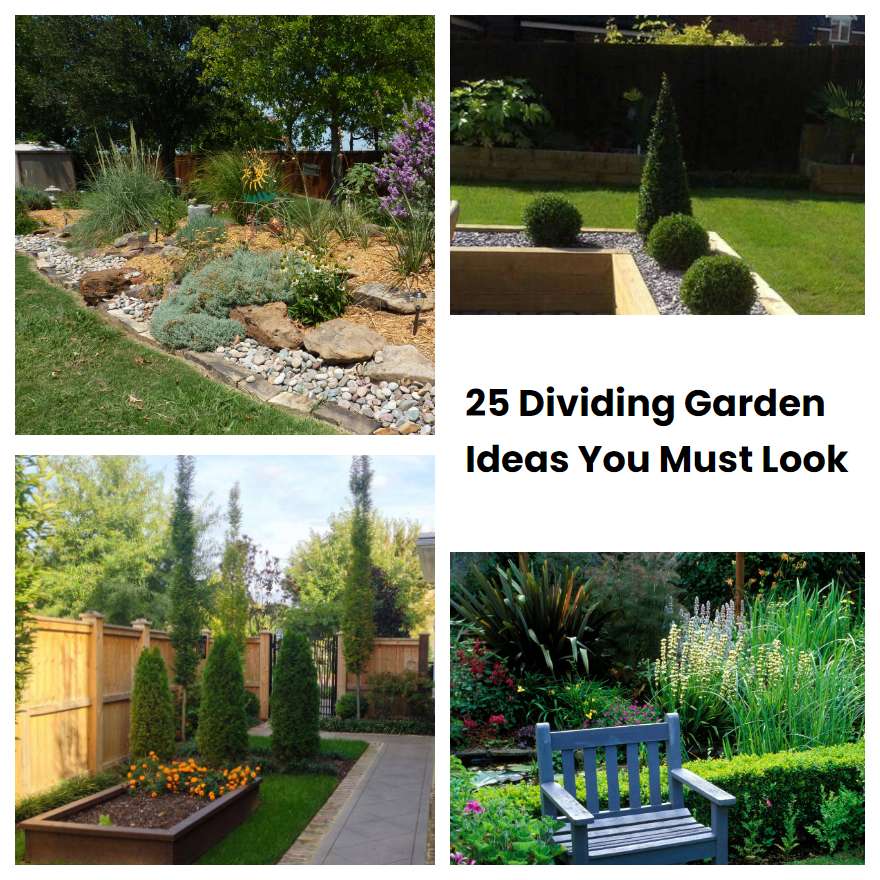 Dividing Garden Ideas You Must Look Sharonsable