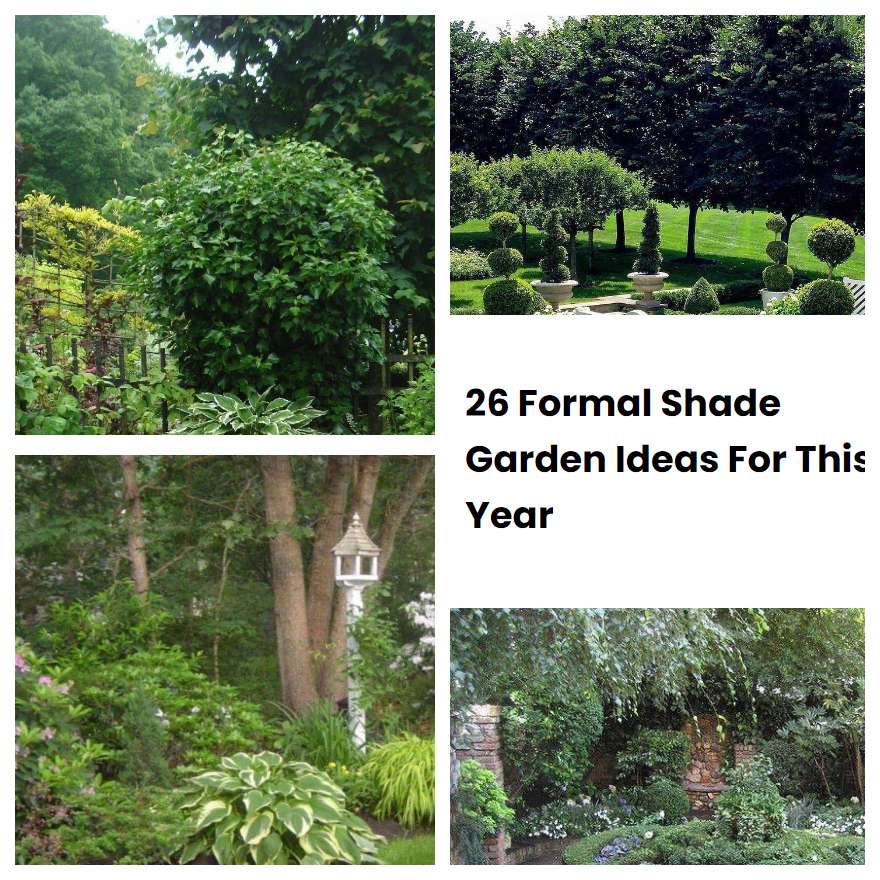 Formal Shade Garden Ideas For This Year Sharonsable