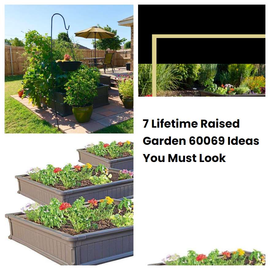 7 Lifetime Raised Garden 60069 Ideas You Must Look SharonSable