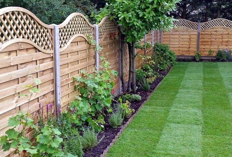 Simple Backyard Privacy Fence Design Ideas