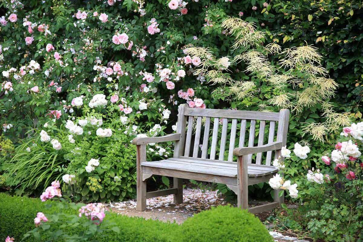Rose Bench Garden Wonders