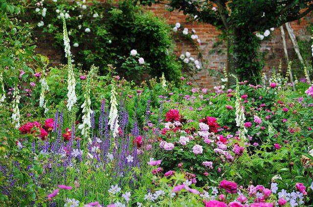 22 Mottisfont Abbey Rose Garden Ideas To Consider | SharonSable