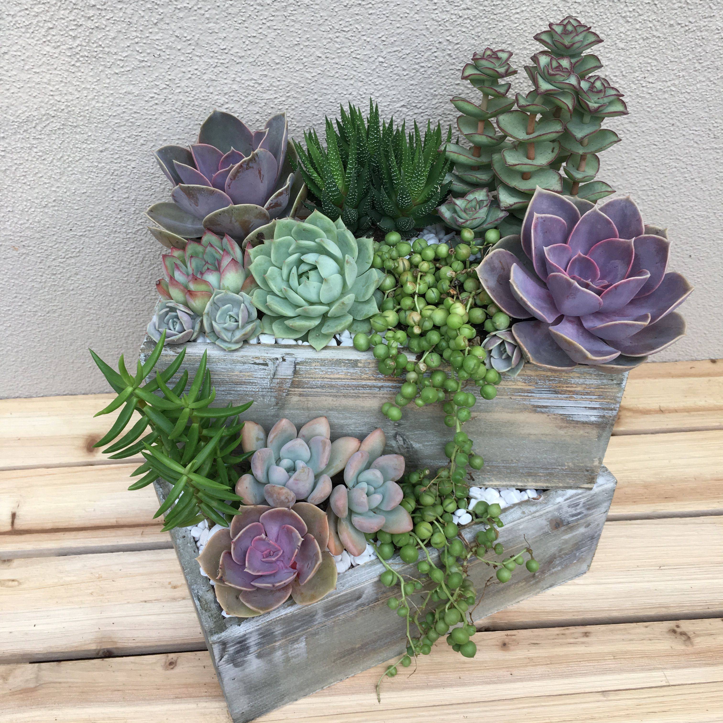 Latest Stylish Garden Arrangement