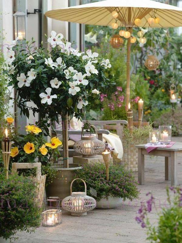 Flower Pot Arrangements Ideas