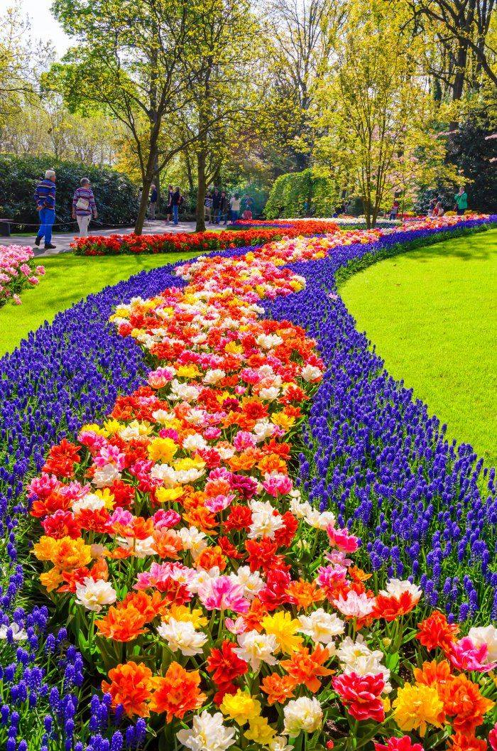 22 World Most Beautiful Flower Garden Paths Ideas You Should Check Sharonsable