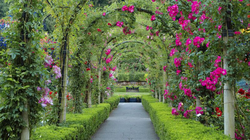 20 Vancouver Rose Garden Ideas You Cannot Miss | SharonSable