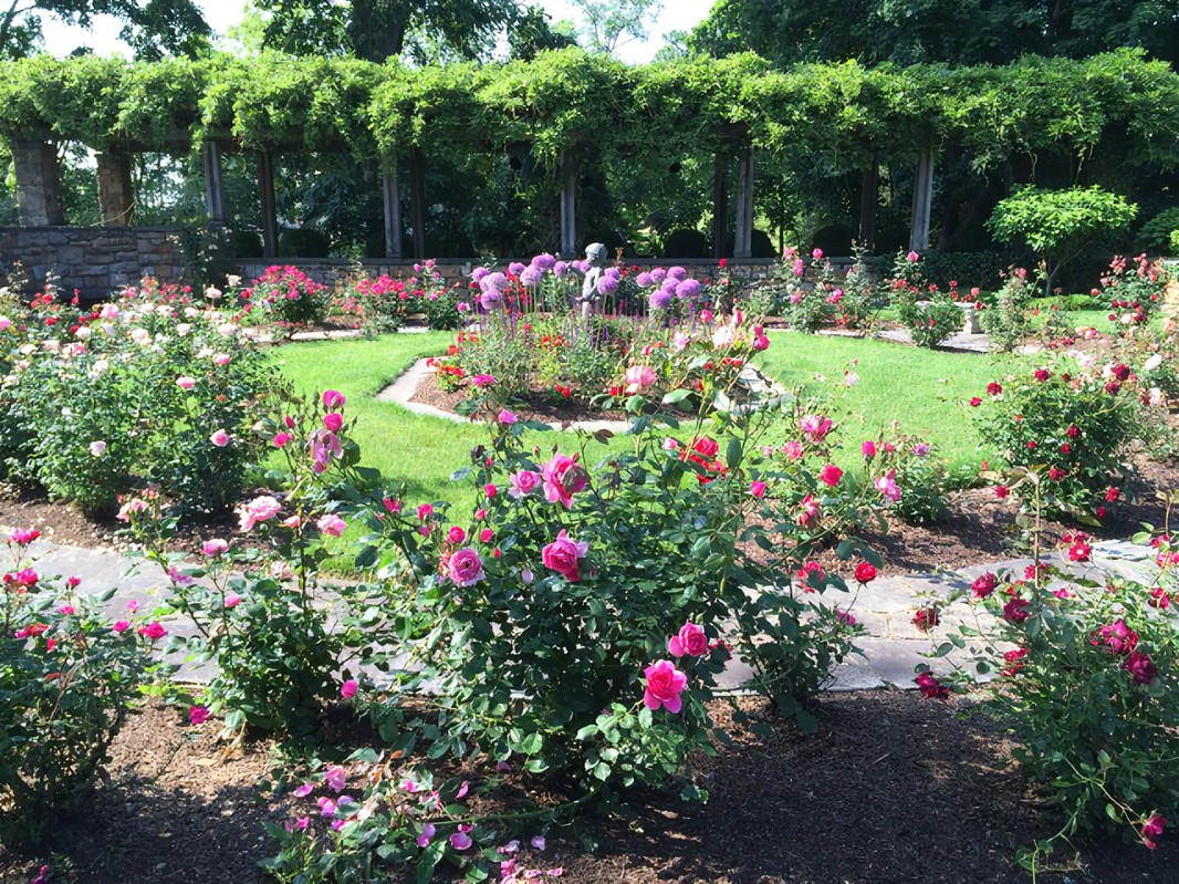 23 Rose Garden England Ideas For This Year | SharonSable