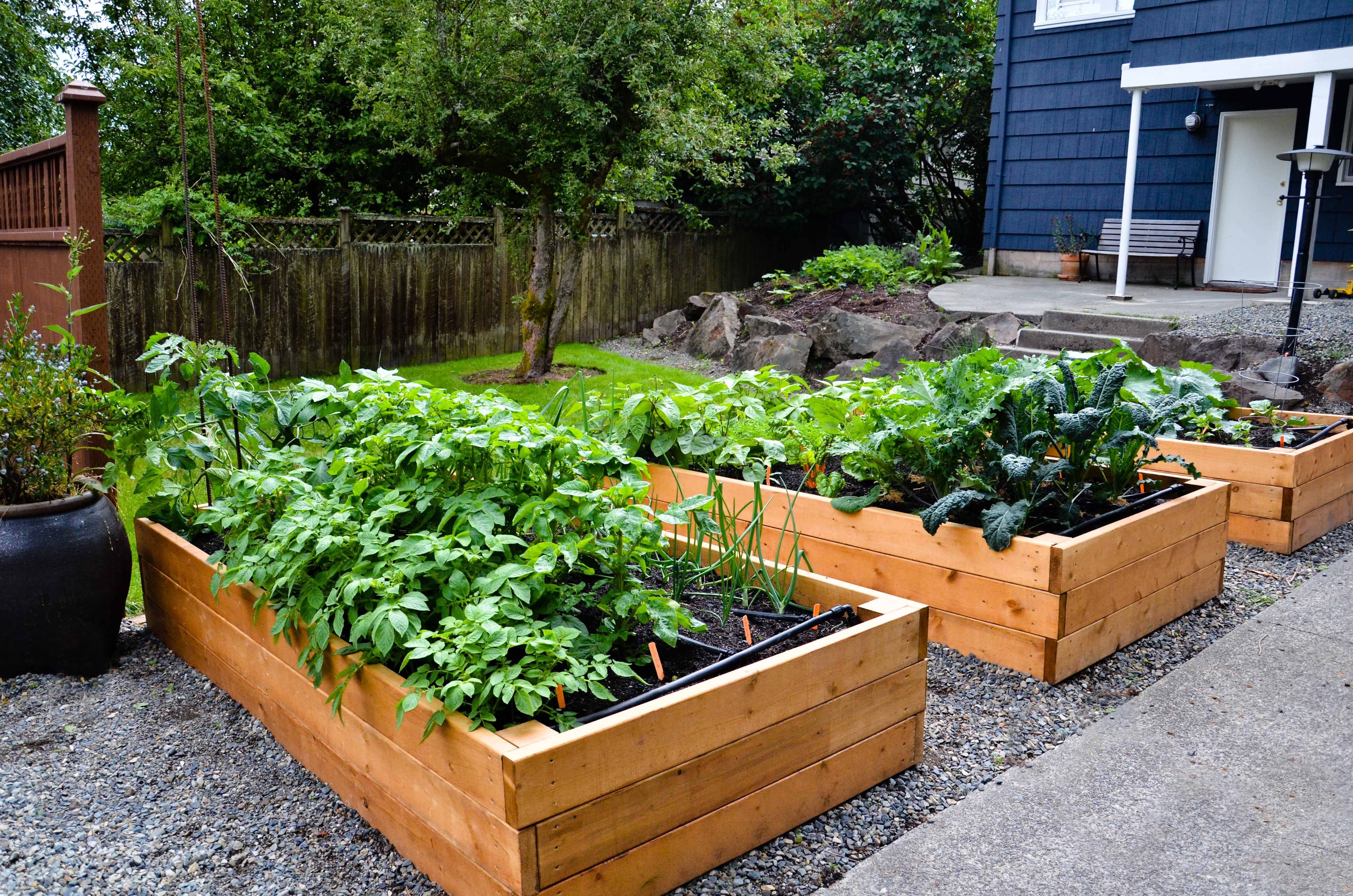 22 Raised Herb Garden Design Ideas You Gonna Love | SharonSable