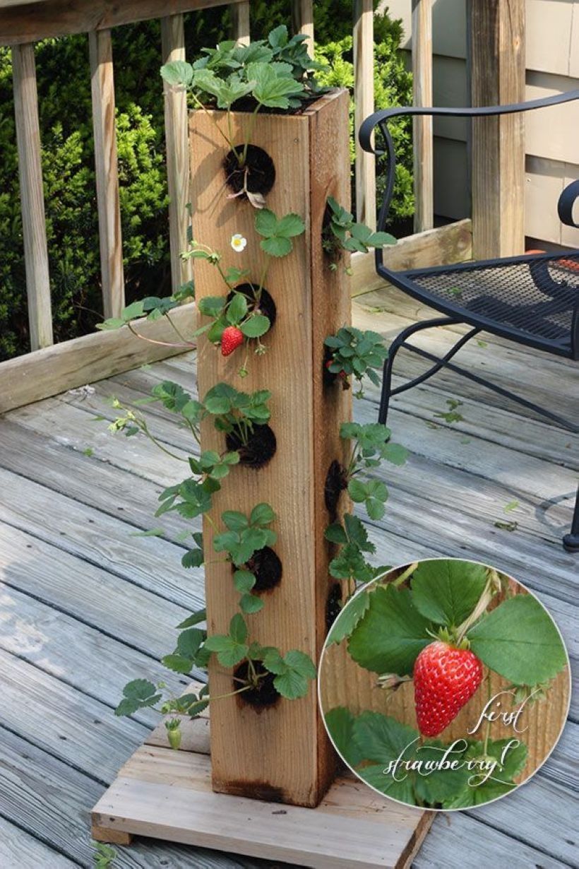 Beautiful Diy Backyard Vegetable Garden Ideas Decorecent