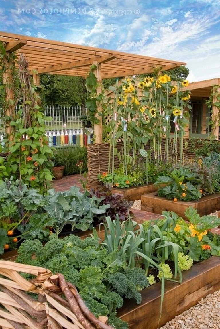 Vertical Vegetable Garden Ideas