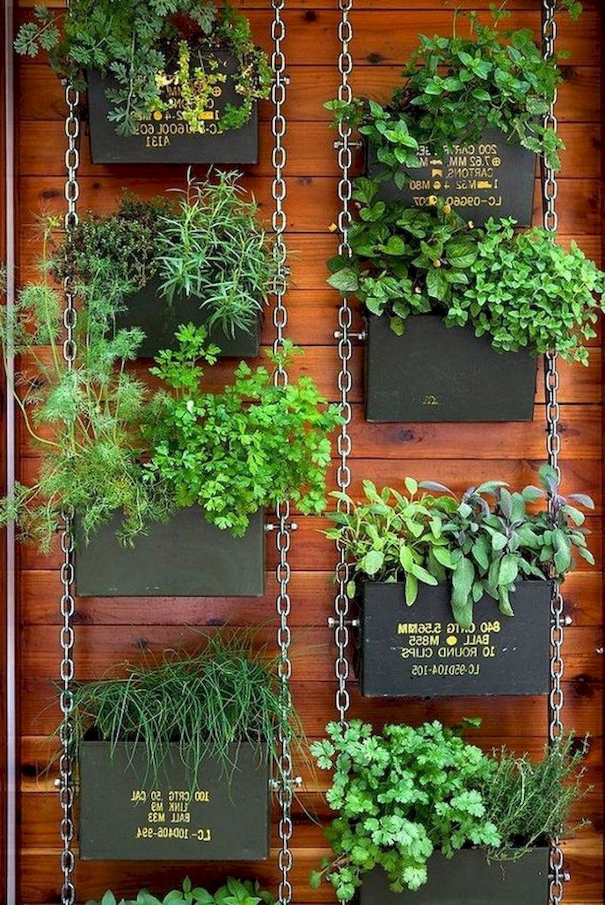 Vertical Vegetable Garden Ideas