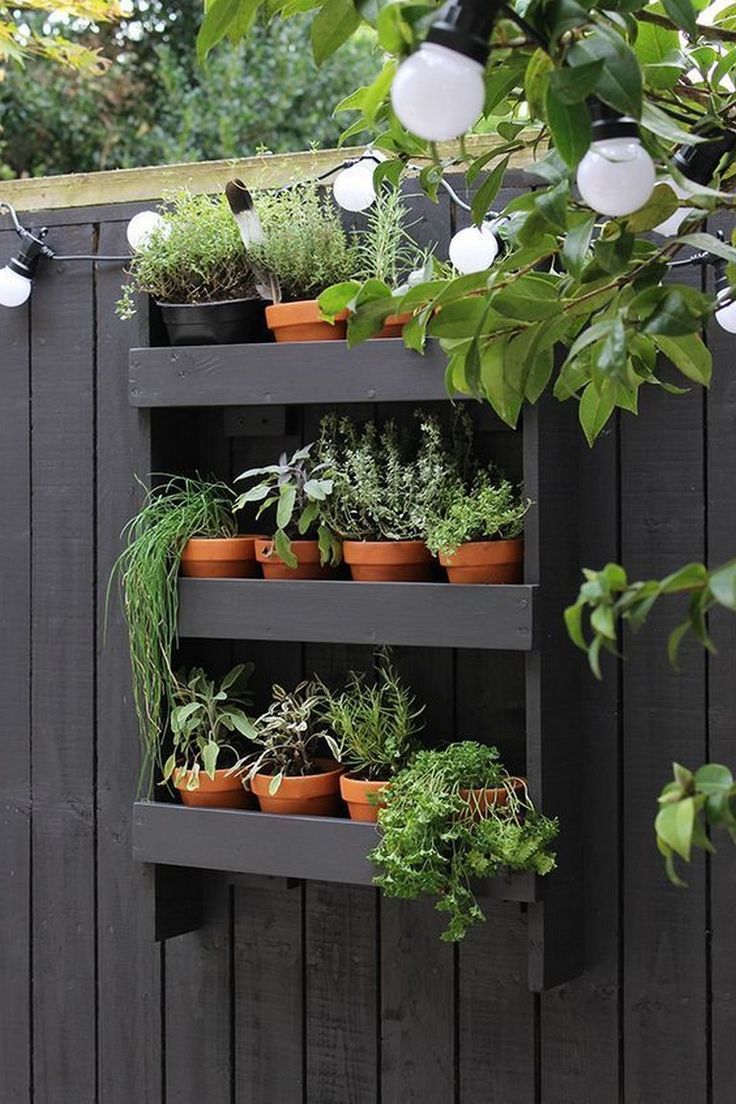 Awesome Diy Hanging Plants Ideas