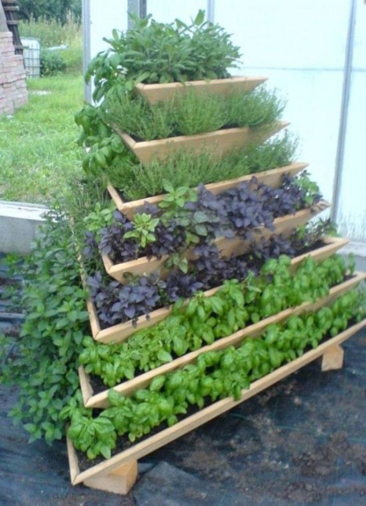 Backyard Fence Vegetable Garden