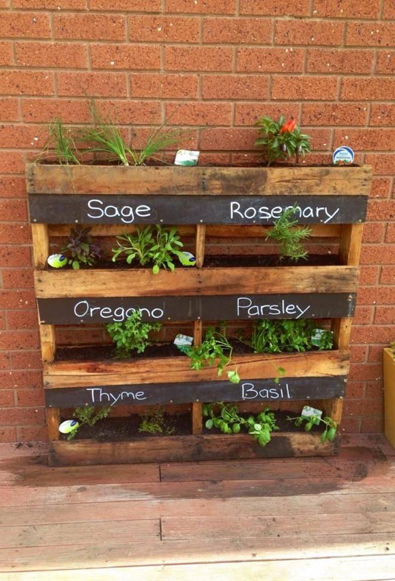 21 Herb Garden Planter Box Ideas To Consider | SharonSable