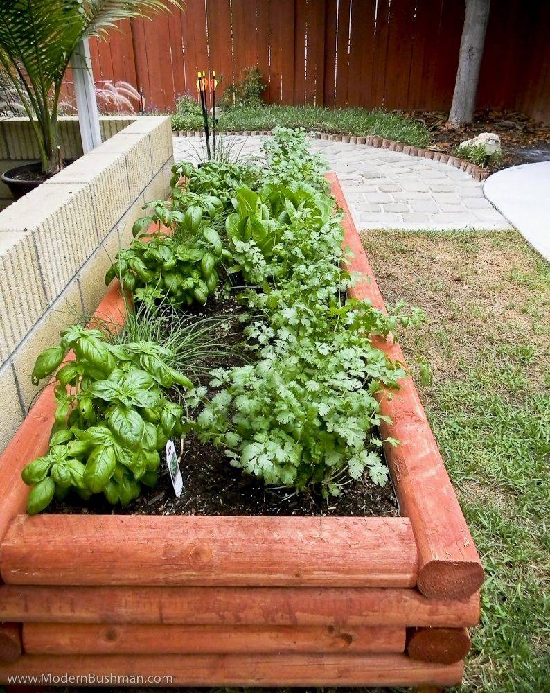 Delightful Raised Garden Beds