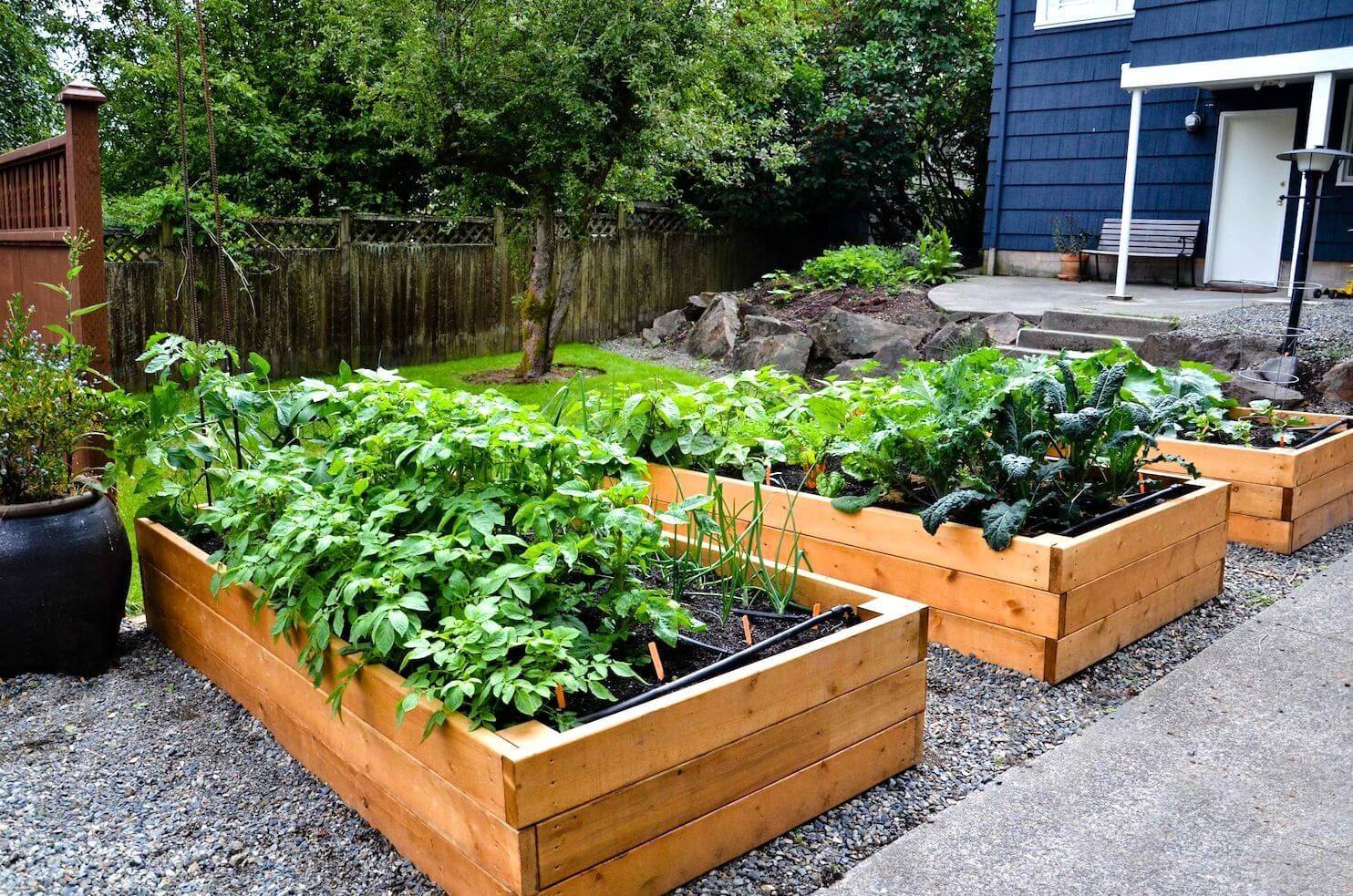 Raised Bed Herb Garden