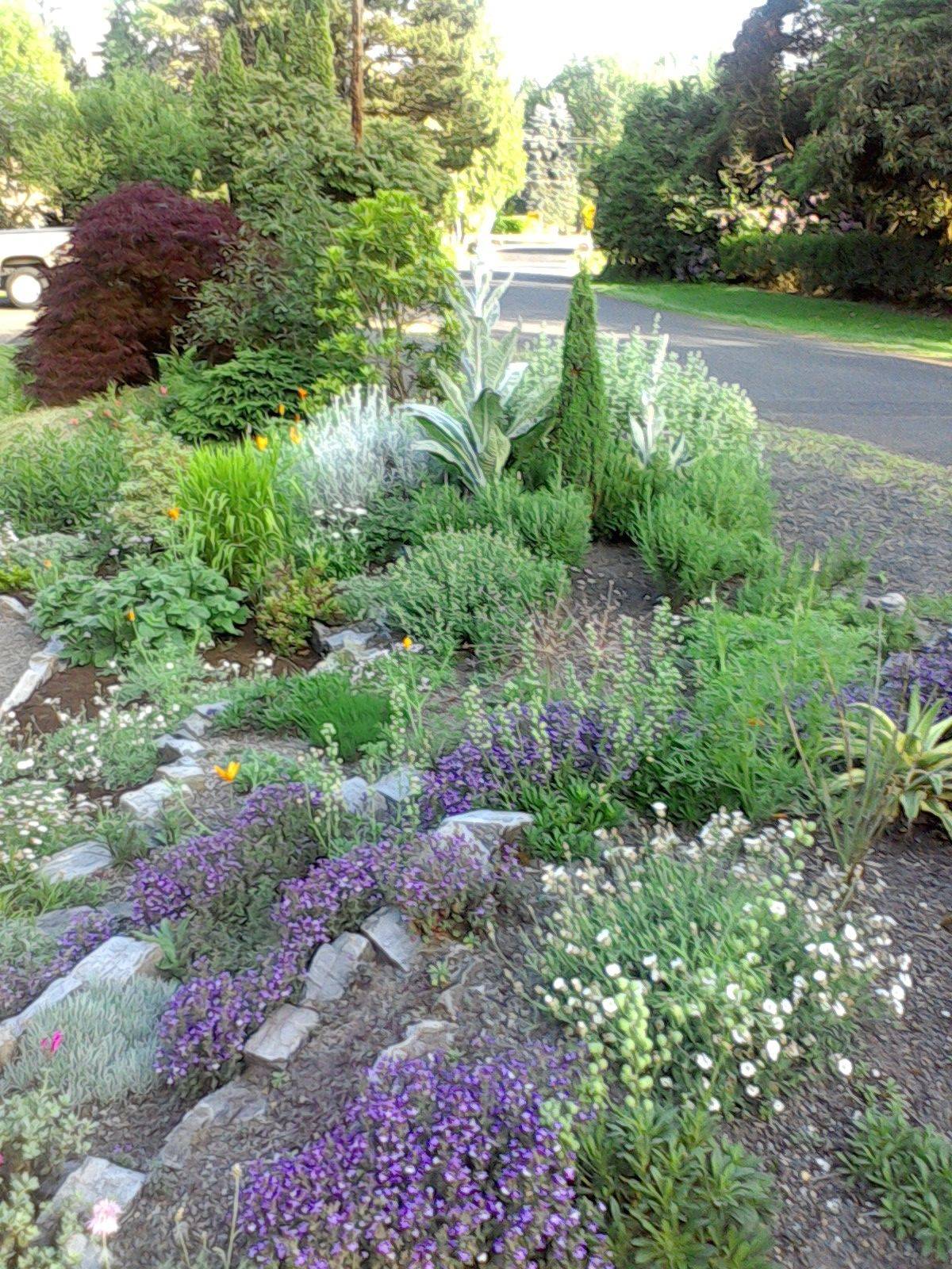 Inspirational Backyard Landscaping Ideas